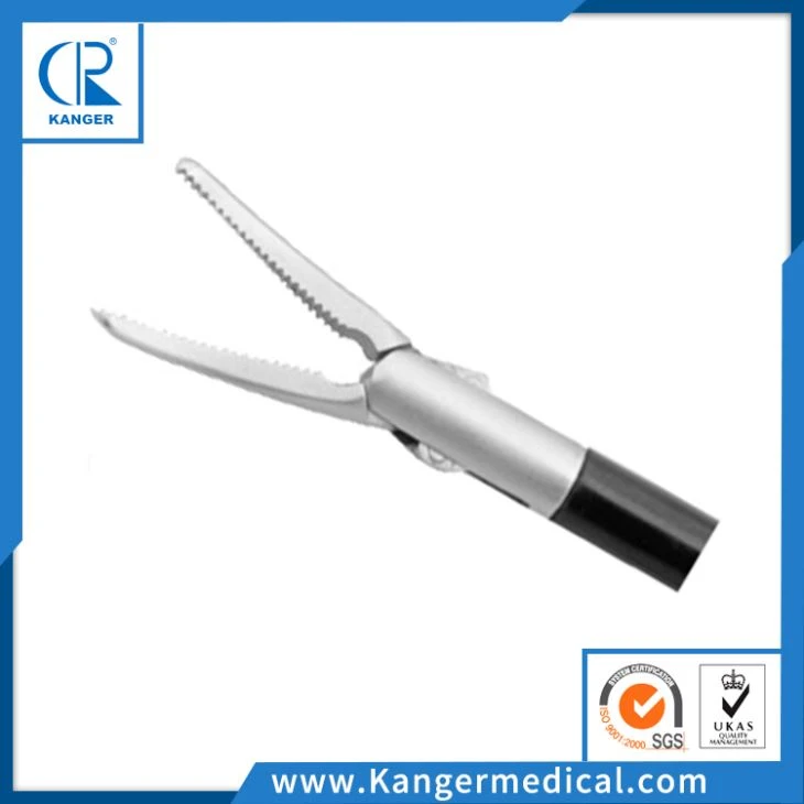Dissecting Forceps