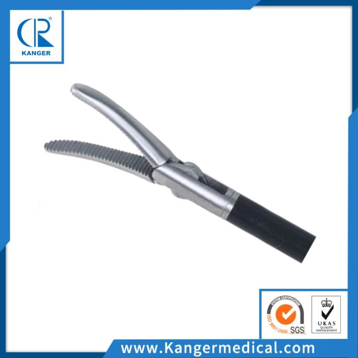 Dissecting Forceps