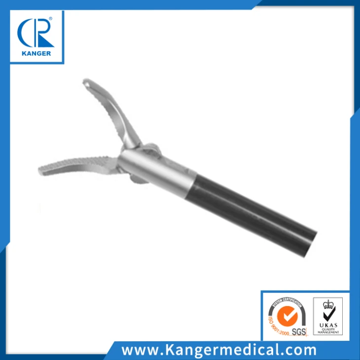 Dissecting Forceps