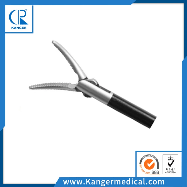 Dissecting Forceps